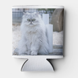 Rafraichisseur De Cannettes persan chinchilla