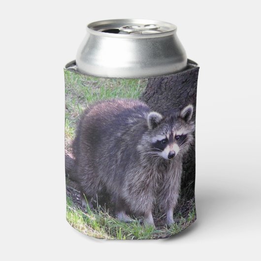 Rafraichisseur De Cannettes Rocky le Raccoon (Can devant)