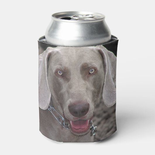 Rafraichisseur De Cannettes Weimaraner (Can devant)