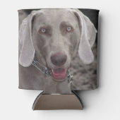 Rafraichisseur De Cannettes Weimaraner (Devant)