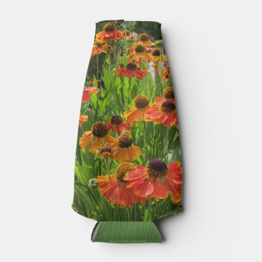 Rafraîchisseur Pour Bouteille Helenium inula, la première fleur de Sabin (Devant)