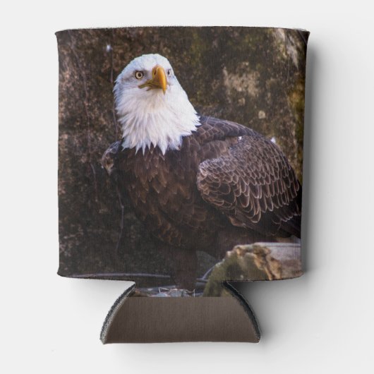 Rafraîchisseur Pour Canette Aigle de Bald (Devant)