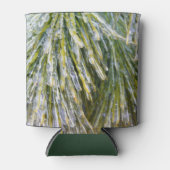 Rafraîchisseur Pour Canette Aiguilles de pin recouvert de glace Botanique hive (Devant)