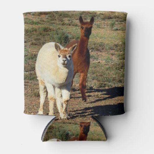 Rafraîchisseur Pour Canette Alpacas Brown Et Blancs (Devant)