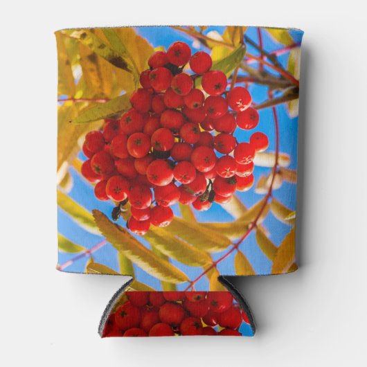 Rafraîchisseur Pour Canette Ashberry (Devant)