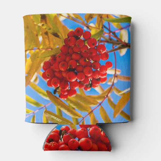 Rafraîchisseur Pour Canette Ashberry (Dos)