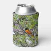 Rafraîchisseur Pour Canette Baltimore Oriole (Can devant)