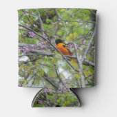 Rafraîchisseur Pour Canette Baltimore Oriole (Devant)