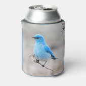 Rafraîchisseur Pour Canette Beau oiseau bleu de montagne (Can Dos)