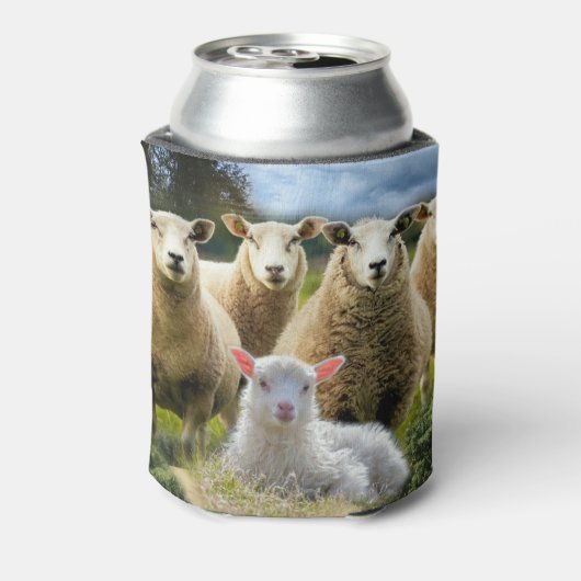 Rafraîchisseur Pour Canette Bébé agneau mouton troupeau troupeau troupeau (Can Dos)