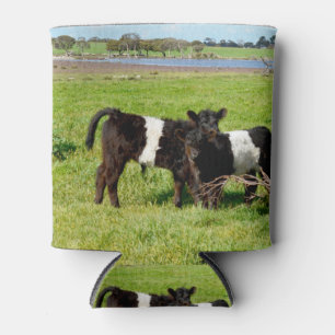 Rafraîchisseur Pour Canette Bébé Belted Vaches Galloway Dans Le Pays,