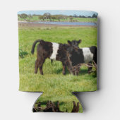 Rafraîchisseur Pour Canette Bébé Belted Vaches Galloway Dans Le Pays, (Dos)