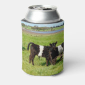 Rafraîchisseur Pour Canette Bébé Belted Vaches Galloway Dans Le Pays, (Can Dos)