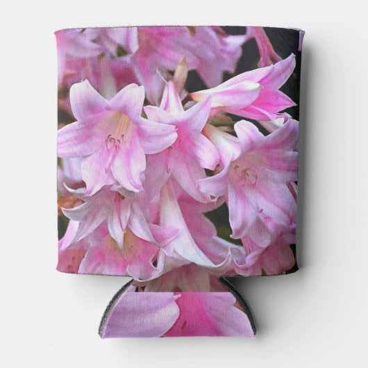 Rafraîchisseur Pour Canette Belle Belladonna Amaryllis Rose (Devant)