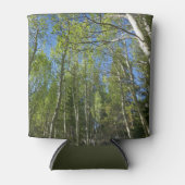 Rafraîchisseur Pour Canette Birch Trees d'été à Rocky Mountain (Devant)