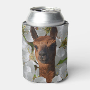 Rafraîchisseur Pour Canette Brown Jeune Alpaca En Fleurs Blanches,