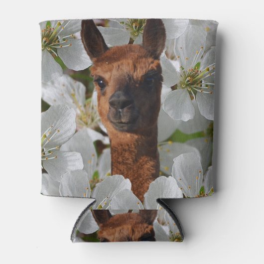 Rafraîchisseur Pour Canette Brown Jeune Alpaca En Fleurs Blanches, (Devant)