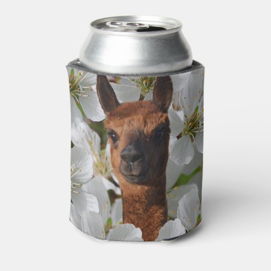 Rafraîchisseur Pour Canette Brown Jeune Alpaca En Fleurs Blanches, (Can Dos)