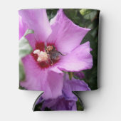 Rafraîchisseur Pour Canette Bumblebebe sur la fleur d'Hibiscus (Devant)