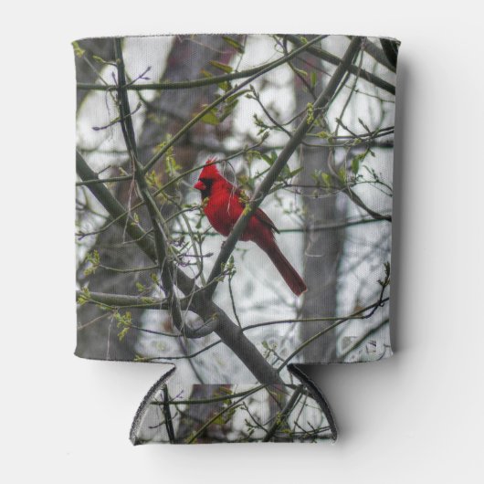 Rafraîchisseur Pour Canette Cardinal (Devant)