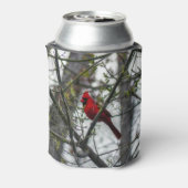 Rafraîchisseur Pour Canette Cardinal (Can Dos)