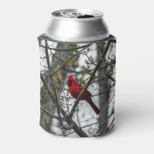 Rafraîchisseur Pour Canette Cardinal (Can Dos)