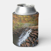 Rafraîchisseur Pour Canette Cascade du parc d'état Laurel Hill State Park II (Can devant)