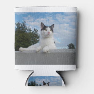 Rafraîchisseur Pour Canette Cat Black and White Domestic Cat Pet