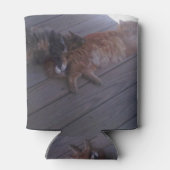 Rafraîchisseur Pour Canette Cat Can Cooler (Dos)