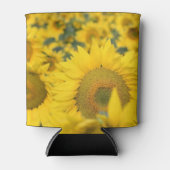 Rafraîchisseur Pour Canette Champ jaune de tournesols photo (Devant)