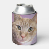 Rafraîchisseur Pour Canette Chat (Can devant)