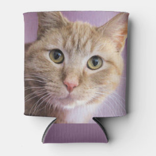 Rafraîchisseur Pour Canette Chat