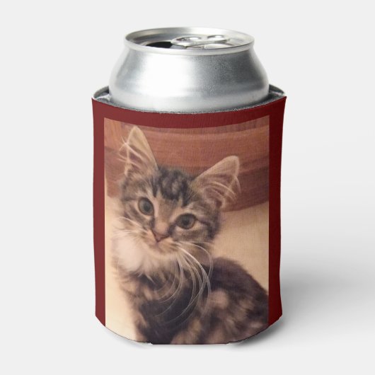 Rafraîchisseur Pour Canette Chats Chatons Chatons Chatons Isolés (Can devant)