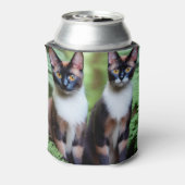 Rafraîchisseur Pour Canette Chocolat Siamese jumeaux, Pouvant refroidir (Can Dos)