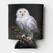 Rafraîchisseur Pour Canette Chouette hivernale majestueuse (Devant)