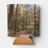 Rafraîchisseur Pour Canette Chute Sunlit dans le parc national de Laurel Hill (Dos)