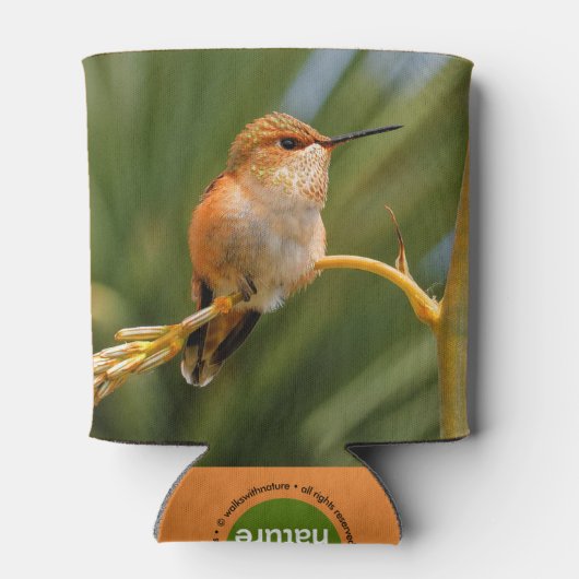 Rafraîchisseur Pour Canette Colibri roux au repos (Dos)