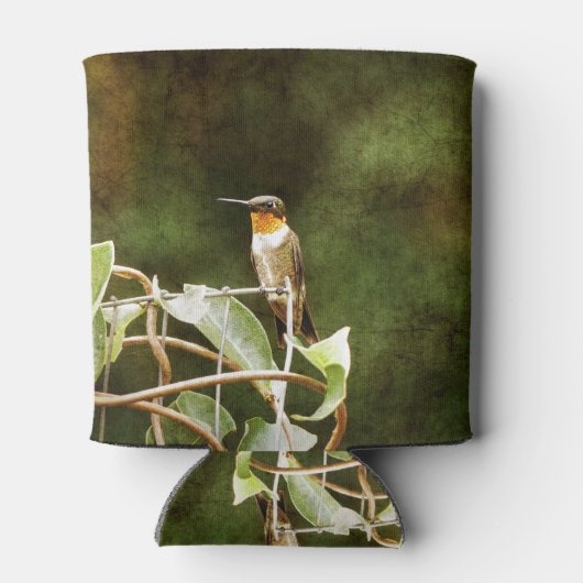 Rafraîchisseur Pour Canette Colibri Ruby Throsé (Dos)