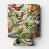 Rafraîchisseur Pour Canette Colibri vintage par Ernst Haeckel (Dos)