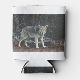 Rafraîchisseur Pour Canette Coyote