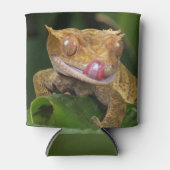 Rafraîchisseur Pour Canette Crested Gecko (Devant)