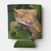 Rafraîchisseur Pour Canette Crested Gecko (Dos)