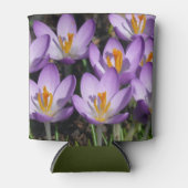 Rafraîchisseur Pour Canette Crocus violets ensoleillés (Devant)