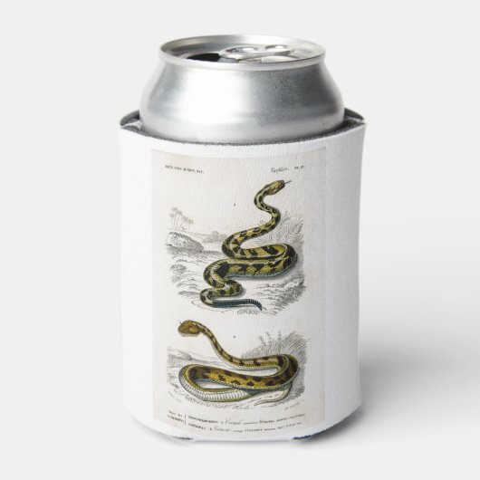 Rafraîchisseur Pour Canette Crotlesnake à cornes sahariennes Viper illustratio (Can devant)