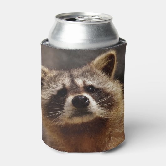 Rafraîchisseur Pour Canette Curieux Raccoon (Can devant)