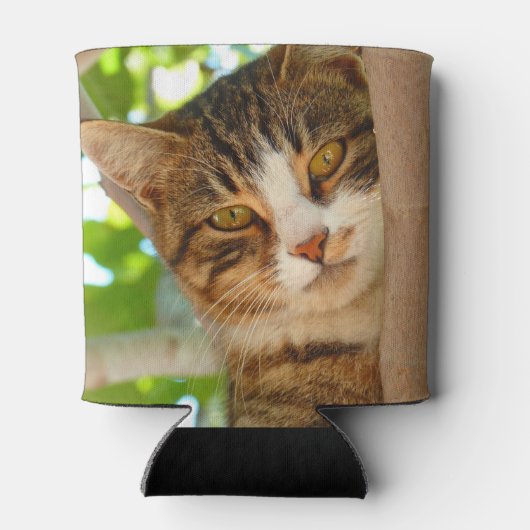 Rafraîchisseur Pour Canette Cute Cat Climbing a Tree (Dos)