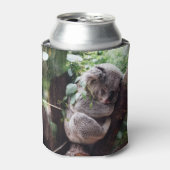 Rafraîchisseur Pour Canette Cute Koala Ours se relaxant dans un arbre (Can devant)