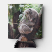 Rafraîchisseur Pour Canette Cute Koala Ours se relaxant dans un arbre (Devant)
