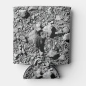 Rafraîchisseur Pour Canette DART Dimorphos Asteroid Moonlet Surface (Devant)