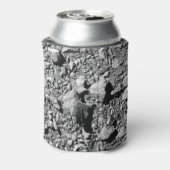 Rafraîchisseur Pour Canette DART Dimorphos Asteroid Moonlet Surface (Can Dos)